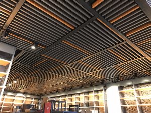 What’s the Point of Suspended Ceilings?