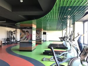 Petek Asma Tavan Rutubeti Önler Mi?