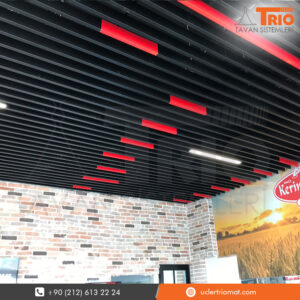 Metal Drop Ceiling Systems in Georgia